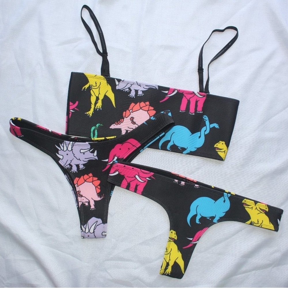 NWOT— Dinosaur Bikini Set by HOAKA SWIM— Medium